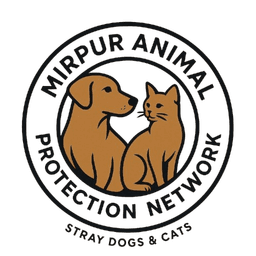 MAPN Logo